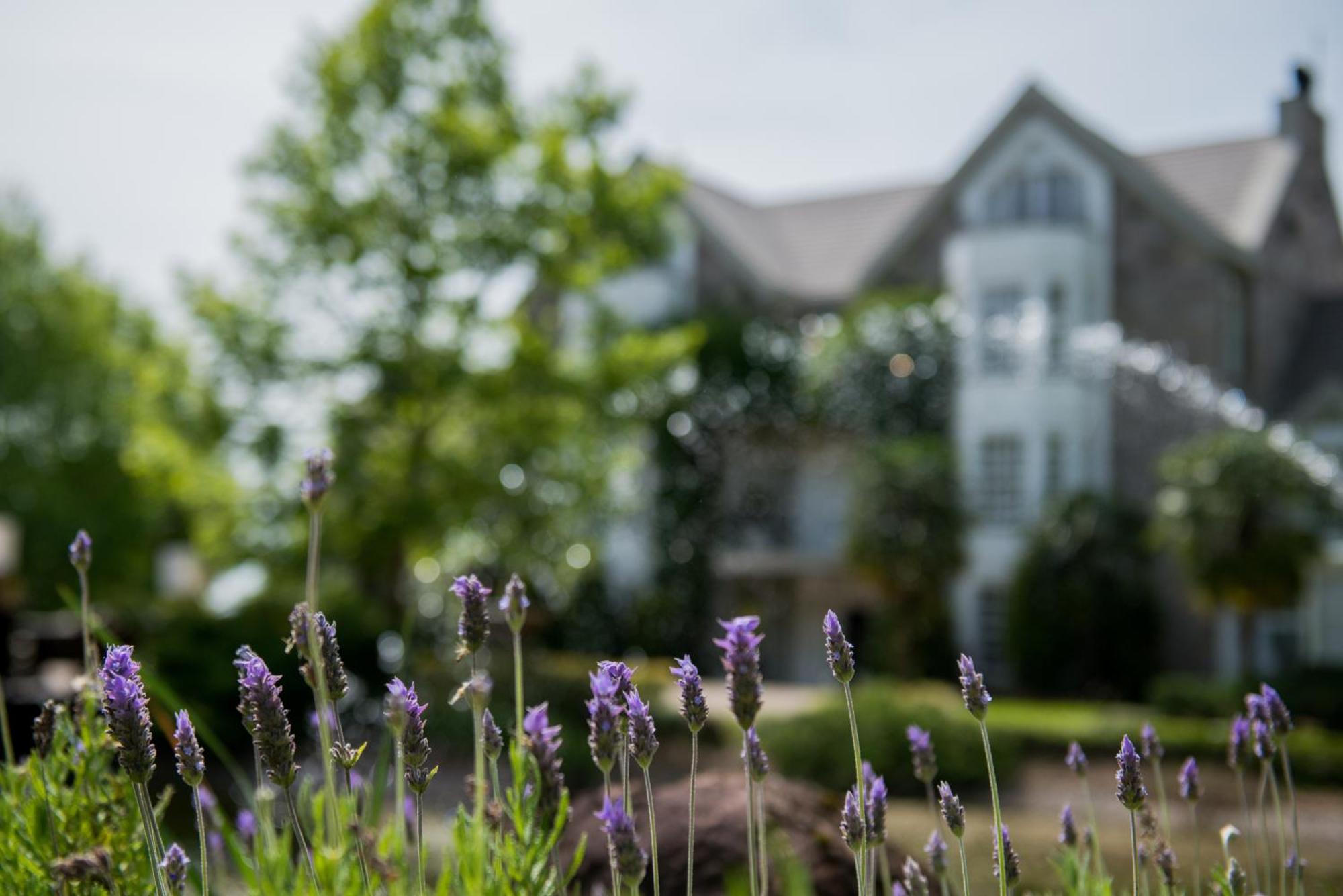 Castelo Saint Andrews Hotel Gramado Exterior photo